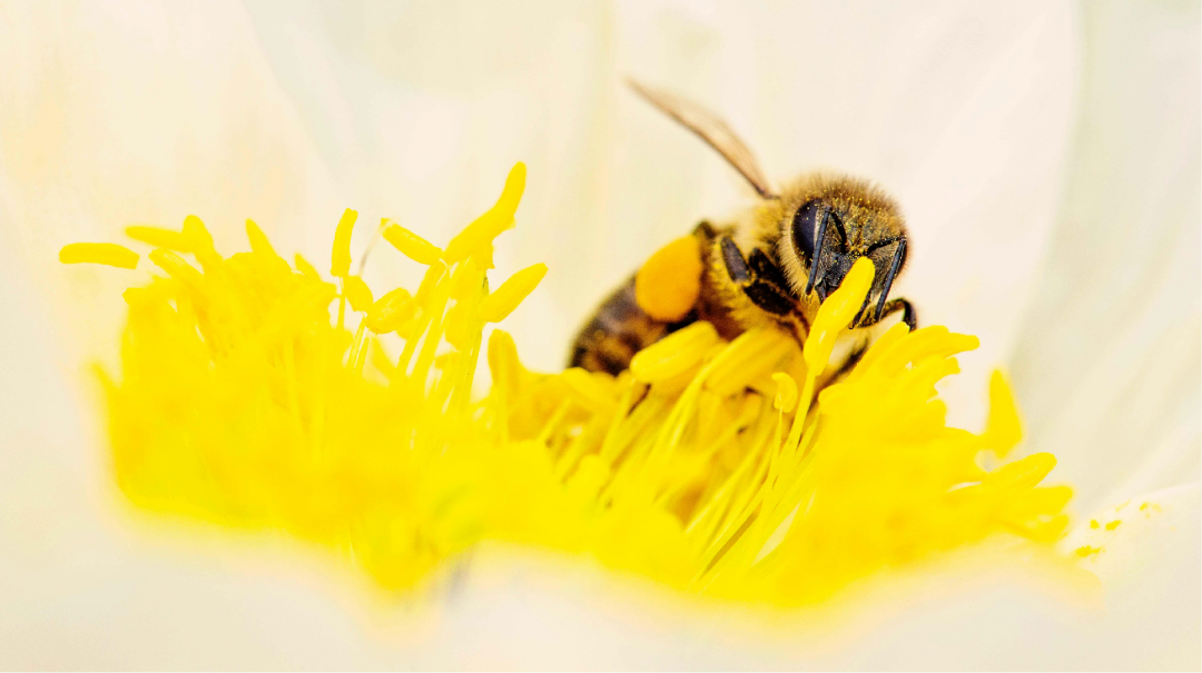 289ce6f282583b2943ec7040cc1c34a7