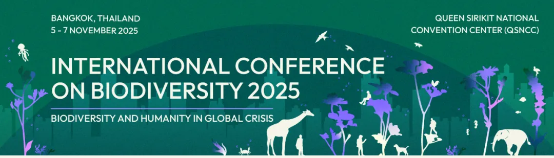 293b80da620afc223a54ff8e62a22fa4