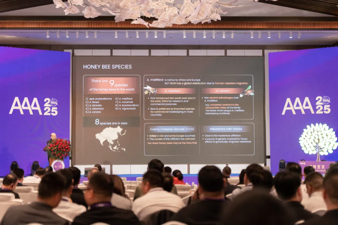 b11ebc48832ef5bf257de79ff8777953