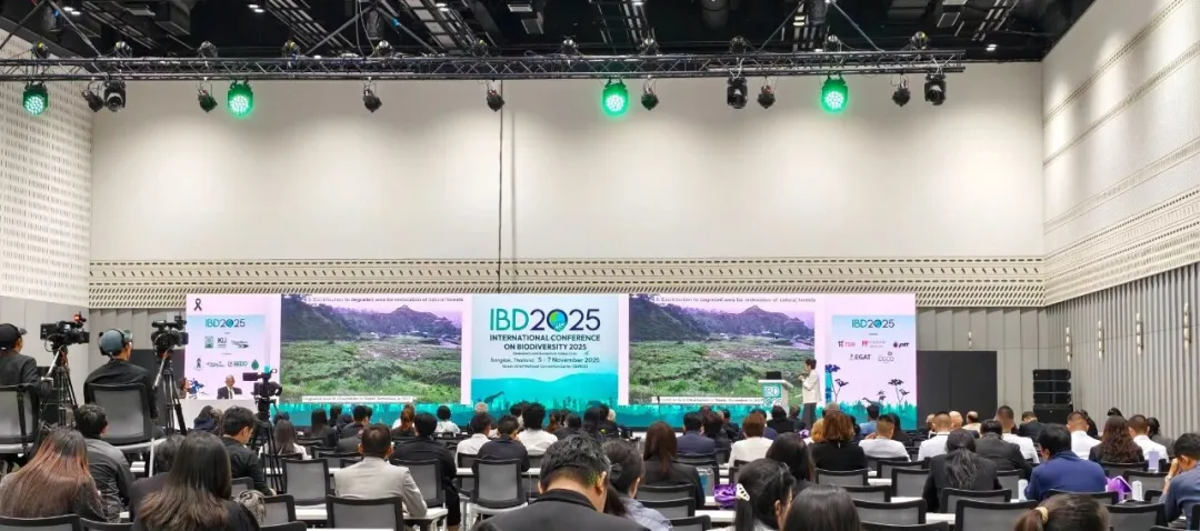 d9f382ec6fcee6b366ca38e39d511806